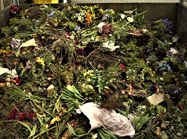 website template image